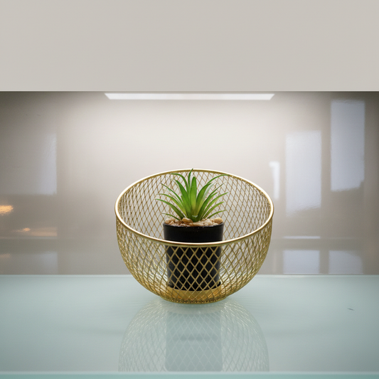 Gold Cage Planter